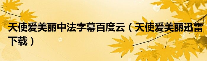 天使愛美麗中法字幕百度云（天使愛美麗迅雷下載）