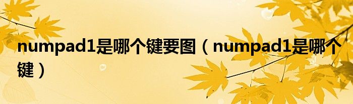 numpad1是哪個鍵要圖（numpad1是哪個鍵）