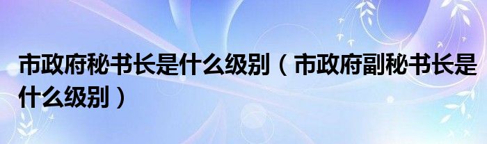 市政府秘書長是什么級別（市政府副秘書長是什么級別）