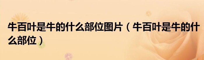 牛百葉是牛的什么部位圖片（牛百葉是牛的什么部位）