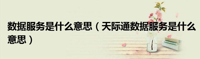 數(shù)據(jù)服務是什么意思（天際通數(shù)據(jù)服務是什么意思）