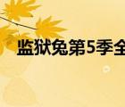 監(jiān)獄兔第5季全集播放（監(jiān)獄兔第三季全）