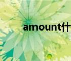 amount什么意思中文（amount）