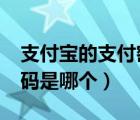支付寶的支付密碼是幾位數(shù)?（支付寶支付密碼是哪個(gè)）