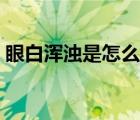 眼白渾濁是怎么回事（眼白發(fā)黃是怎么回事）