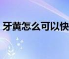 牙黃怎么可以快速變白（牙黃怎么快速變白）