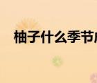 柚子什么季節(jié)成熟?（柚在什么季節(jié)成熟）