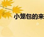小籠包的來歷視頻（小籠包的來歷）