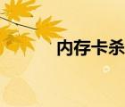內(nèi)存卡殺毒方法（內(nèi)存卡殺毒）