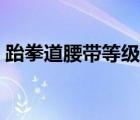 跆拳道腰帶等級意義（跆拳道腰帶等級含義）