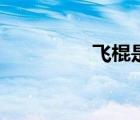 飛棍是什么生物（飛棍）