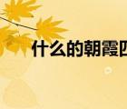 什么的朝霞四年級下冊（什么的朝霞）