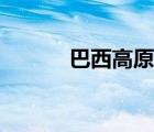 巴西高原在哪個洲（巴西高原）