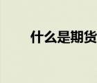 什么是期貨基礎(chǔ)知識(shí)（什么是期貨）