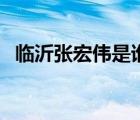 臨沂張宏偉是誰表妹（新泰市張宏偉背景）