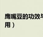 鷹嘴豆的功效與作用視頻（鷹嘴豆的功效與作用）