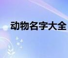 動(dòng)物名字大全 名稱大全（動(dòng)物名字大全）