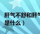 肝氣不舒和肝氣郁結(jié)的區(qū)別（肝氣不舒的癥狀是什么）