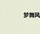 夢舞風(fēng)云女主（夢舞風(fēng)云）
