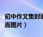初中作文集封面圖片大全男生（初中作文集封面圖片）