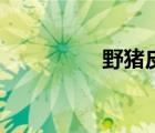 野豬皮的用途（野豬皮）