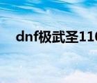 dnf極武圣110級裝備選擇（dnf極武圣）