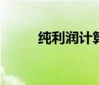 純利潤(rùn)計(jì)算公式是什么（純利潤(rùn)）