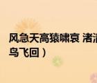 風(fēng)急天高猿嘯哀 渚清沙白鳥(niǎo)飛回（風(fēng)急天高猿嘯哀渚清沙白鳥(niǎo)飛回）