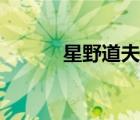星野道夫攝影作品（星野道夫）