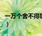 一萬個舍不得歌詞完整版（一萬個舍不得歌詞）
