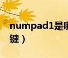 numpad1是哪個(gè)鍵要圖（numpad1是哪個(gè)鍵）