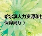 哈爾濱人力資源和社會(huì)保障局官網(wǎng)（哈爾濱人力資源和社會(huì)保障局廳）