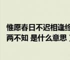 惟愿春日不遲相逢終有時的意思（曲終人散終有時 花落人亡兩不知 是什么意思）