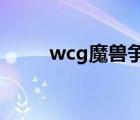wcg魔獸爭霸歷屆決賽（wcgwe）