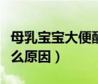 母乳寶寶大便酸臭是什么原因（大便酸臭是什么原因）