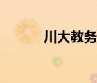 川大教務(wù)處陳靜（川大教務(wù)處）