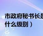 市政府秘書長是什么級別（市政府副秘書長是什么級別）