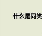 什么是同類項概念（同類項是什么）