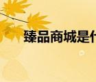 臻品商城是什么平臺(tái)（什么是臻品館）