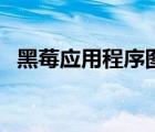 黑莓應(yīng)用程序圖標(biāo)（黑莓手機(jī)桌面管理器）