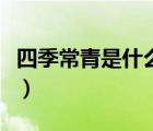 四季常青是什么意思?。ㄋ募境Ｇ嗍鞘裁匆馑迹?/>
                                    </a>
                                                </div>
                                    <div   id=