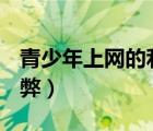 青少年上網(wǎng)的利與弊ppt（青少年上網(wǎng)的利與弊）