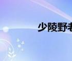 少陵野老怎么讀（少陵野老）
