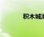積木城池讀后感（積木城池）