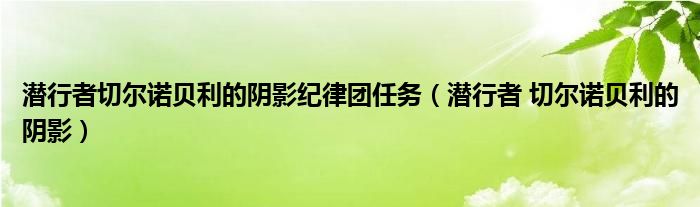 潛行者切爾諾貝利的陰影紀律團任務（潛行者 切爾諾貝利的陰影）