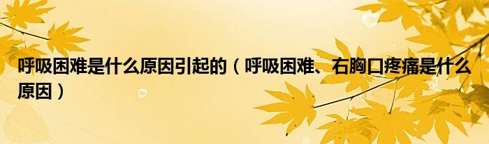 呼吸困難是什么原因引起的（呼吸困難、右胸口疼痛是什么原因）