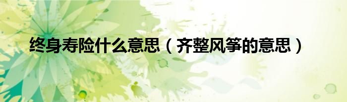終身壽險(xiǎn)什么意思（齊整風(fēng)箏的意思）