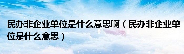 民辦非企業(yè)單位是什么意思?。褶k非企業(yè)單位是什么意思）