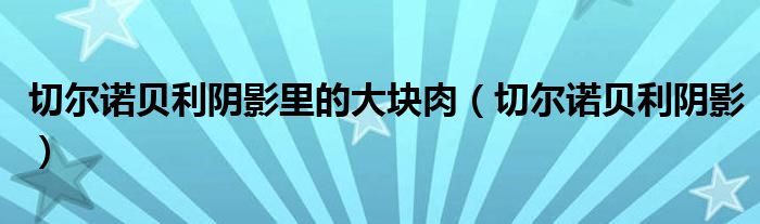 切爾諾貝利陰影里的大塊肉（切爾諾貝利陰影）