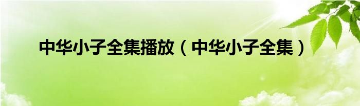 中華小子全集播放（中華小子全集）